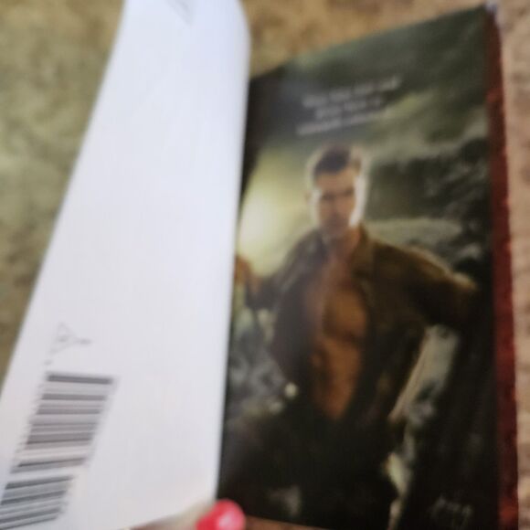 Air Bound by Feehan, Christine paperback romance paranormal suspense book - Picture 5 of 5